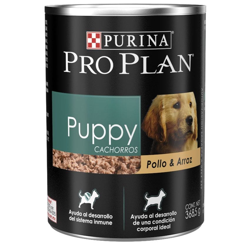 Plan puppy