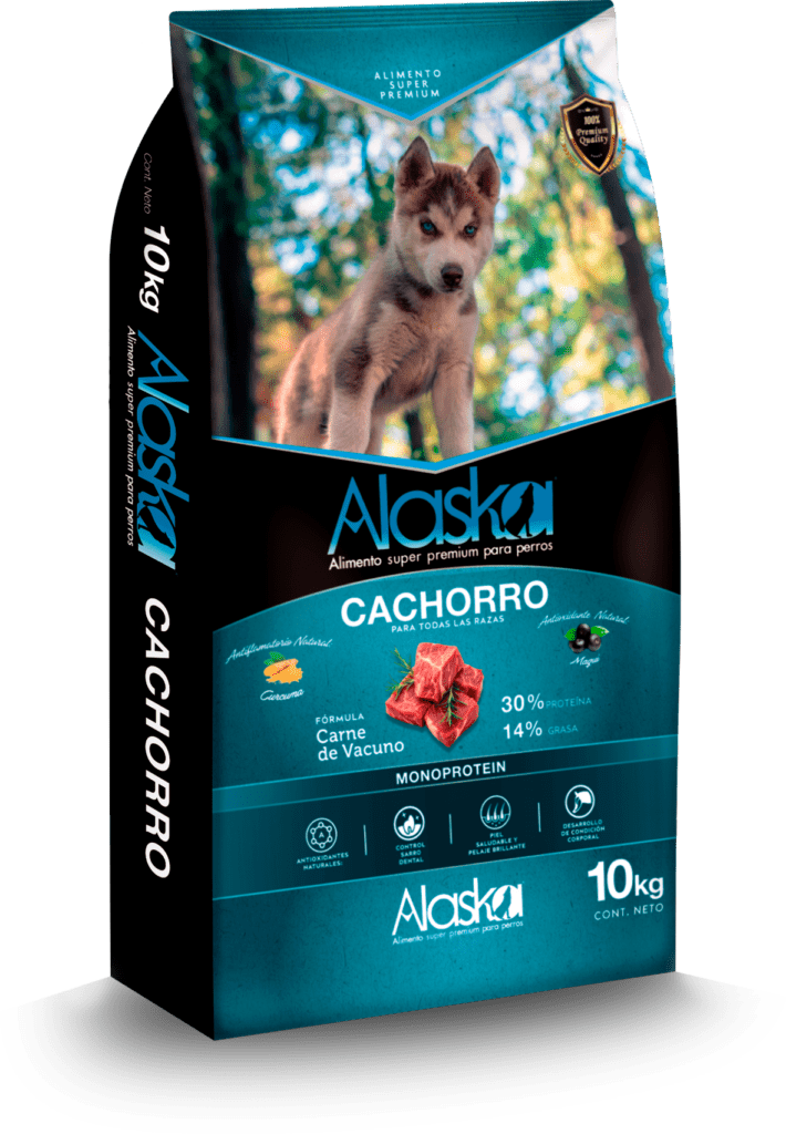 Alaska Cachorro